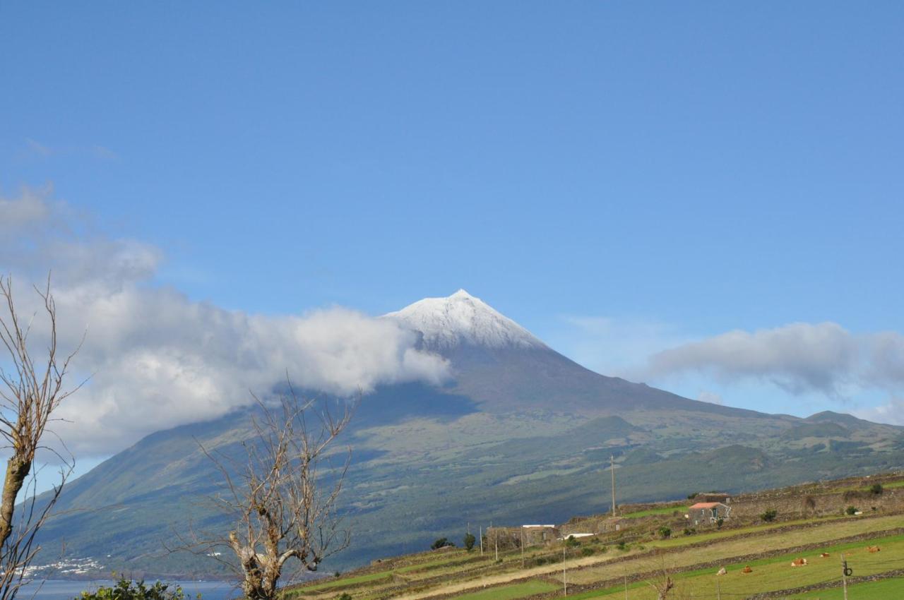 Villa Casa da Abrótea Lajes do Pico Exterior foto