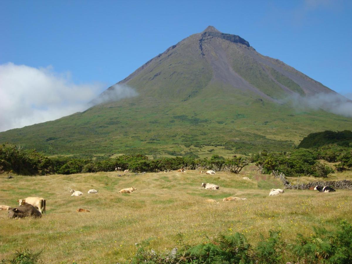Villa Casa da Abrótea Lajes do Pico Exterior foto